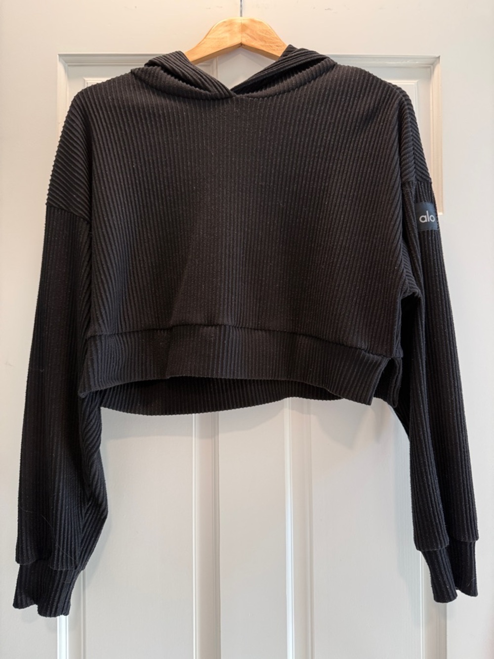 ALO Yoga Black Ribbed Cropped Hoodie